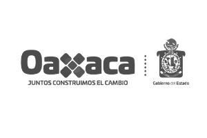 En Redimedic Fabricamos una ambulancia para el Gobierno de Oaxaca-Cliente de Redimedic.