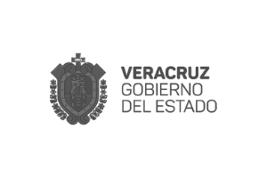 Redimedic Venta de ambulancias y unidades médicas móviles. Gobierno de Veracruz-Cliente de Redimedic.